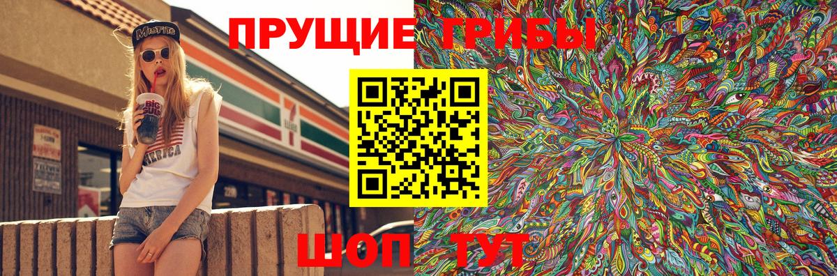 Псилоцибиновые грибы Psilocybe Кинешма