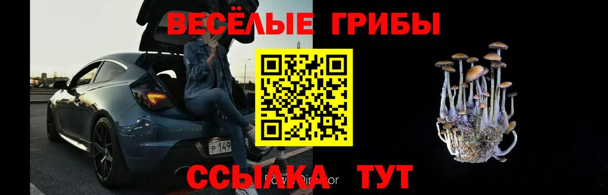 Кинешма  Галлюциногенные грибы прущие грибы  Вход с VPN 